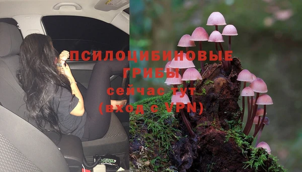 ALPHA PVP Балабаново